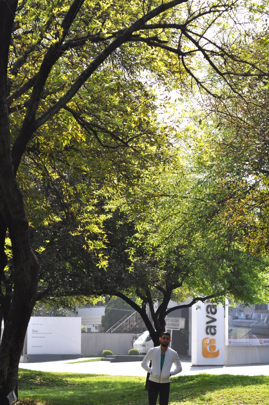 DSC_0971 - Version 2